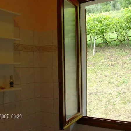 Casa Giulia Brentano Holiday home Mezzegra