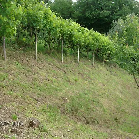 Holiday home Casa Giulia Brentano *