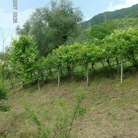 Casa Giulia Brentano Holiday home *
